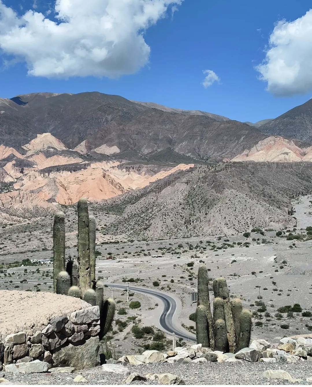 Cactus y montañas de Jujuy